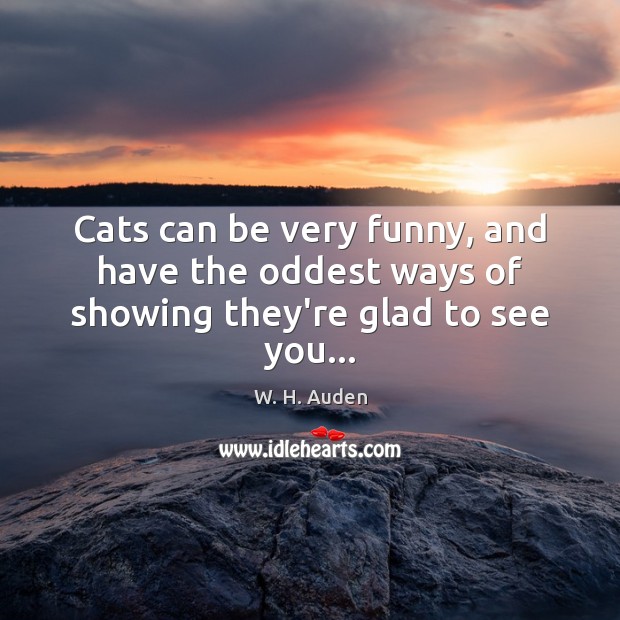 Cats can be very funny, and have the oddest ways of showing they’re glad to see you… W. H. Auden Picture Quote