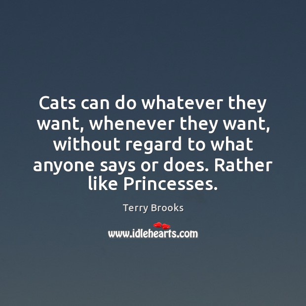 Cats can do whatever they want, whenever they want, without regard to Terry Brooks Picture Quote