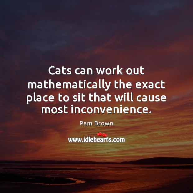 Cats can work out mathematically the exact place to sit that will Pam Brown Picture Quote