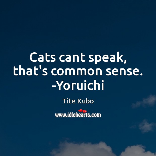 Cats cant speak, that’s common sense. -Yoruichi Tite Kubo Picture Quote