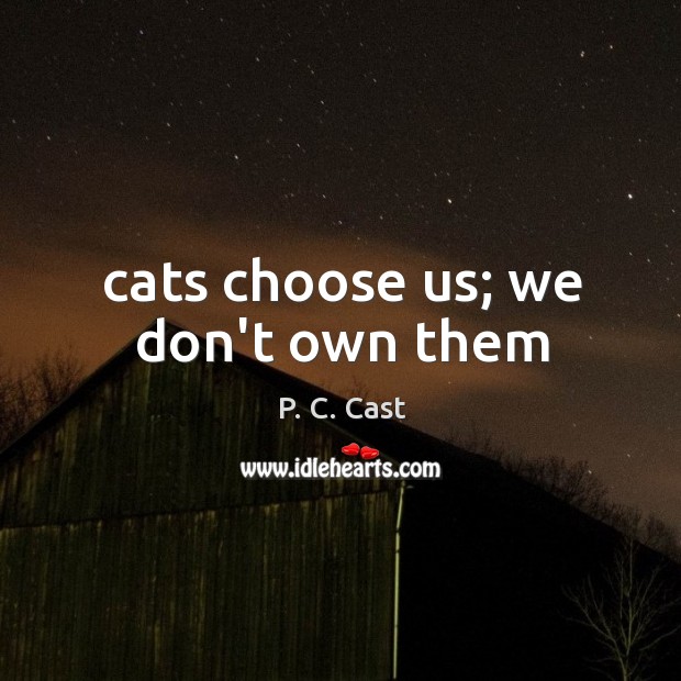 Cats choose us; we don’t own them P. C. Cast Picture Quote