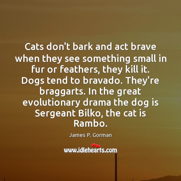 Cats don’t bark and act brave when they see something small in James P. Gorman Picture Quote