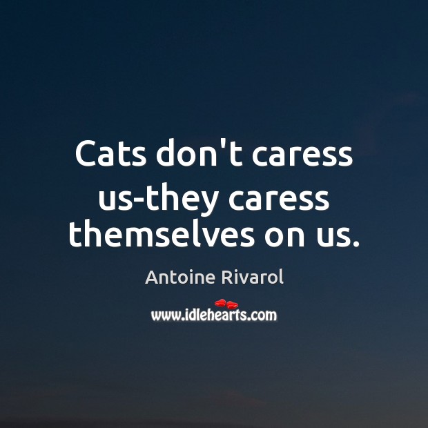 Cats don’t caress us-they caress themselves on us. Image