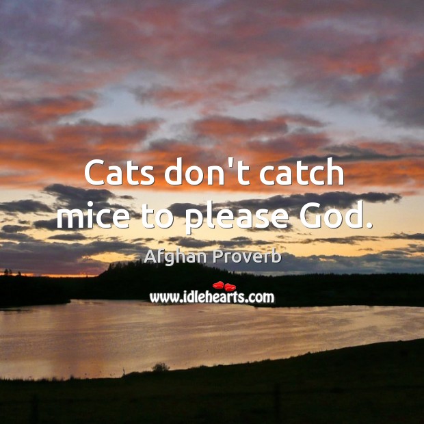 Cats don’t catch mice to please God. Afghan Proverbs Image