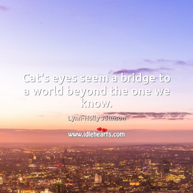 Cat’s eyes seem a bridge to a world beyond the one we know. Image