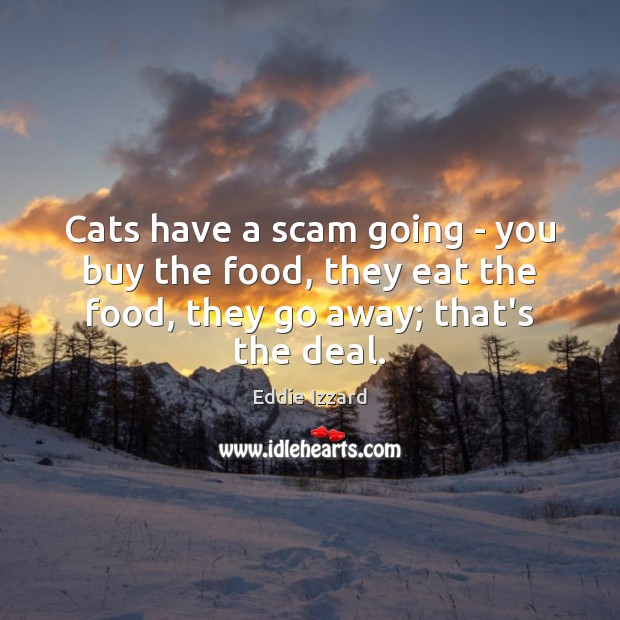 Cats have a scam going – you buy the food, they eat Eddie Izzard Picture Quote