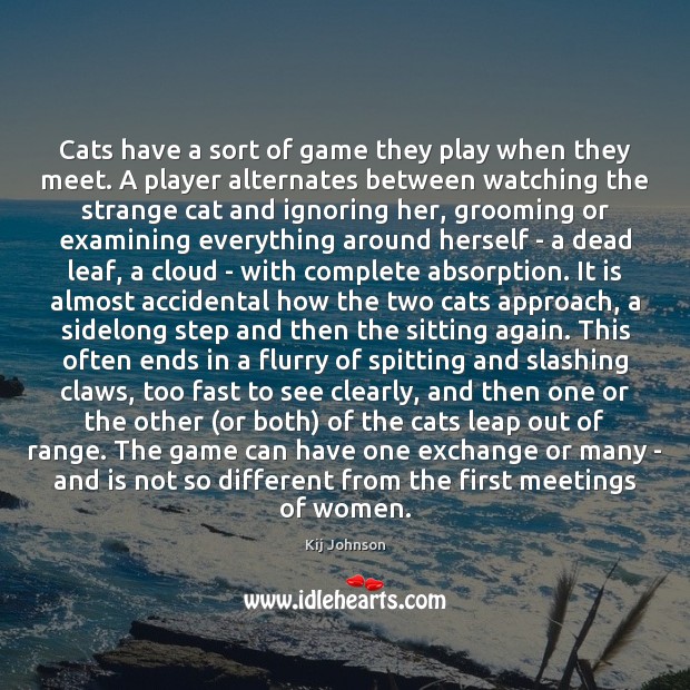 Cats have a sort of game they play when they meet. A Kij Johnson Picture Quote