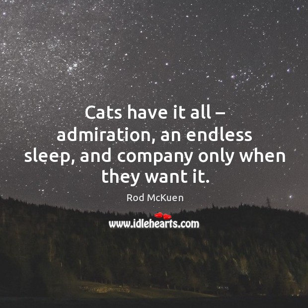 Cats have it all – admiration, an endless sleep, and company only when they want it. Image