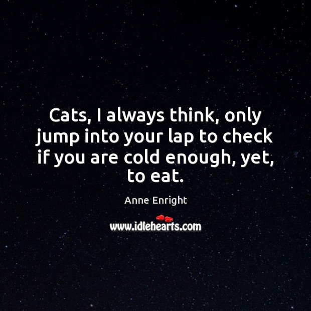 Cats, I always think, only jump into your lap to check if Anne Enright Picture Quote