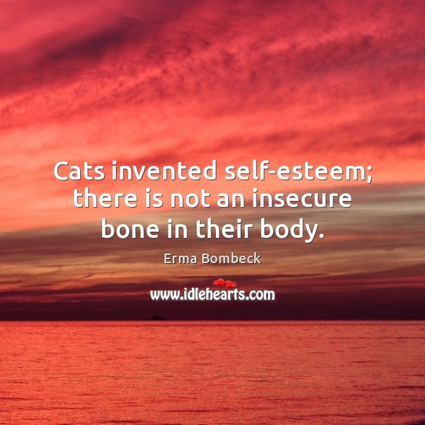 Cats invented self-esteem; there is not an insecure bone in their body. Erma Bombeck Picture Quote