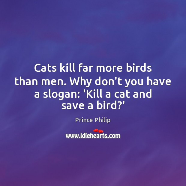 Cats kill far more birds than men. Why don’t you have a Image