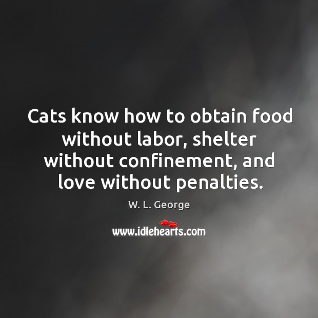 Cats know how to obtain food without labor, shelter without confinement, and love without penalties. 
