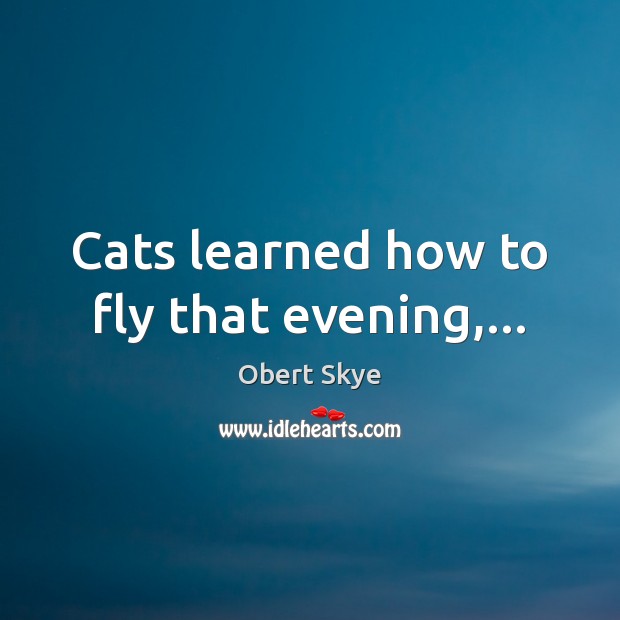 Cats learned how to fly that evening,… Obert Skye Picture Quote