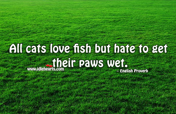 All cats love fish but hate to get their paws wet. Image