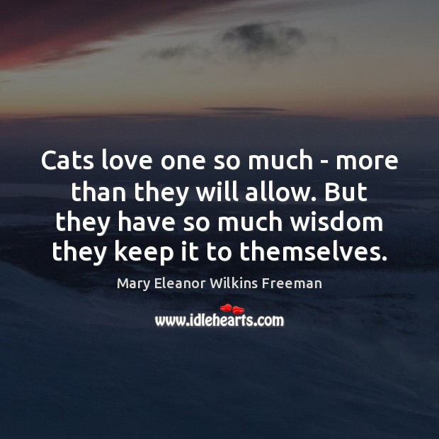 Cats love one so much – more than they will allow. But Wisdom Quotes Image