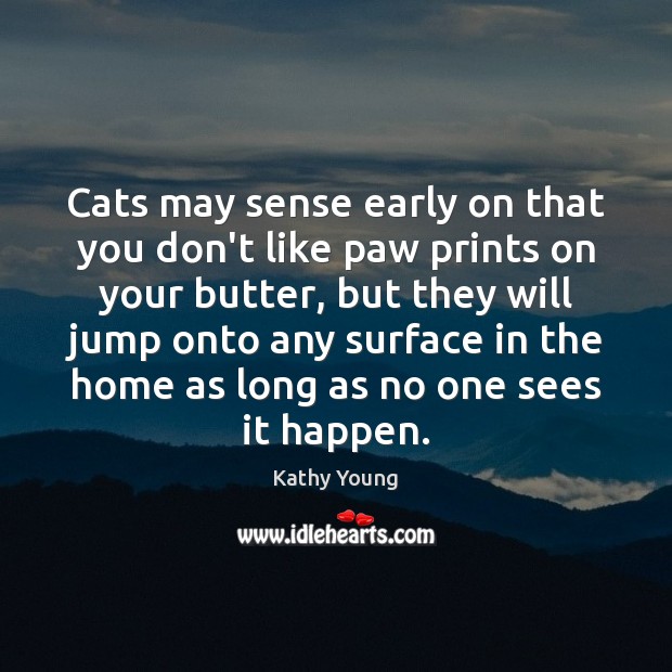 Cats may sense early on that you don’t like paw prints on 
