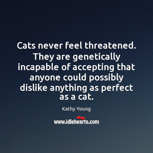 Cats never feel threatened. They are genetically incapable of accepting that anyone 