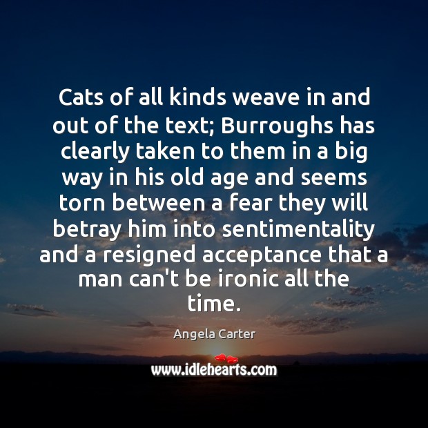 Cats of all kinds weave in and out of the text; Burroughs Angela Carter Picture Quote