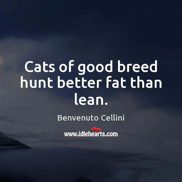 Cats of good breed hunt better fat than lean. Benvenuto Cellini Picture Quote