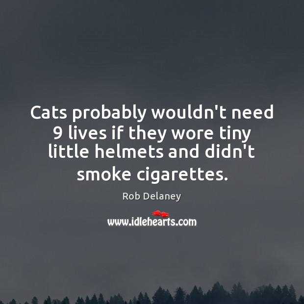 Cats probably wouldn’t need 9 lives if they wore tiny little helmets and Rob Delaney Picture Quote