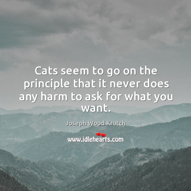 Cats seem to go on the principle that it never does any harm to ask for what you want. Joseph Wood Krutch Picture Quote