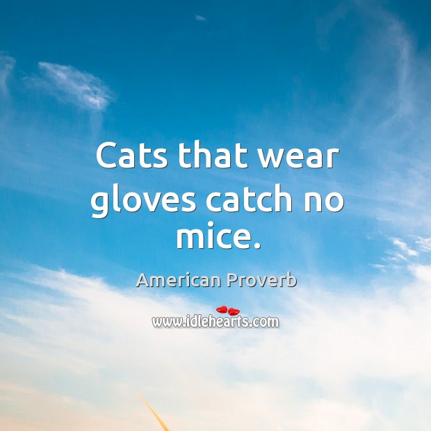 Cats that wear gloves catch no mice. Image