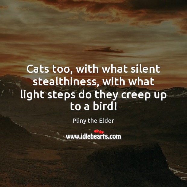 Cats too, with what silent stealthiness, with what light steps do they creep up to a bird! 