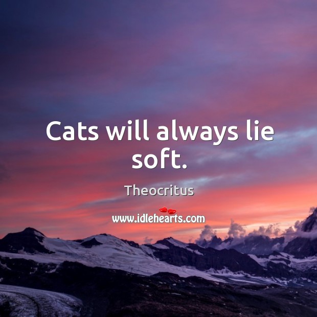 Cats will always lie soft. Image