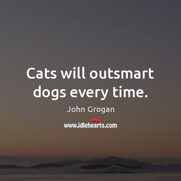 Cats will outsmart dogs every time. John Grogan Picture Quote
