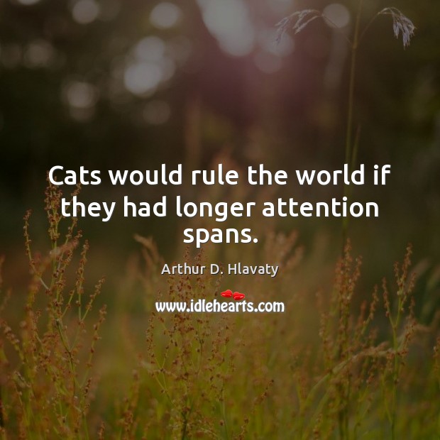Cats would rule the world if they had longer attention spans. Arthur D. Hlavaty Picture Quote