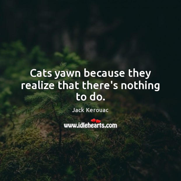 Cats yawn because they realize that there’s nothing to do. Jack Kerouac Picture Quote
