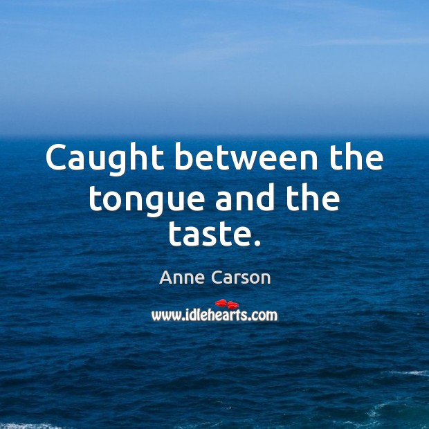 Caught between the tongue and the taste. Anne Carson Picture Quote