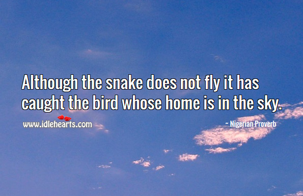 Although the snake does not fly it has caught the bird whose home is in the sky. Nigerian Proverbs Image