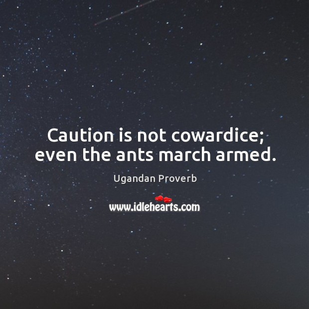 Caution is not cowardice; even the ants march armed. Ugandan Proverbs Image