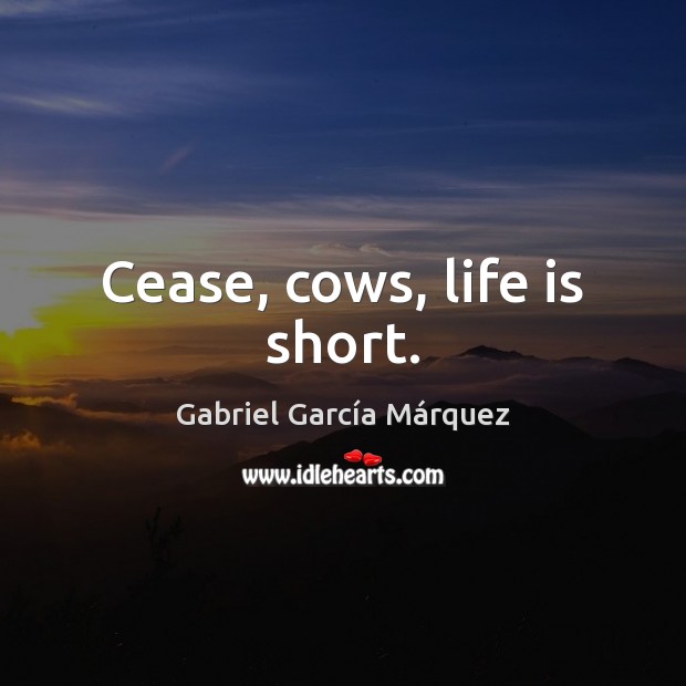Cease, cows, life is short. Gabriel García Márquez Picture Quote