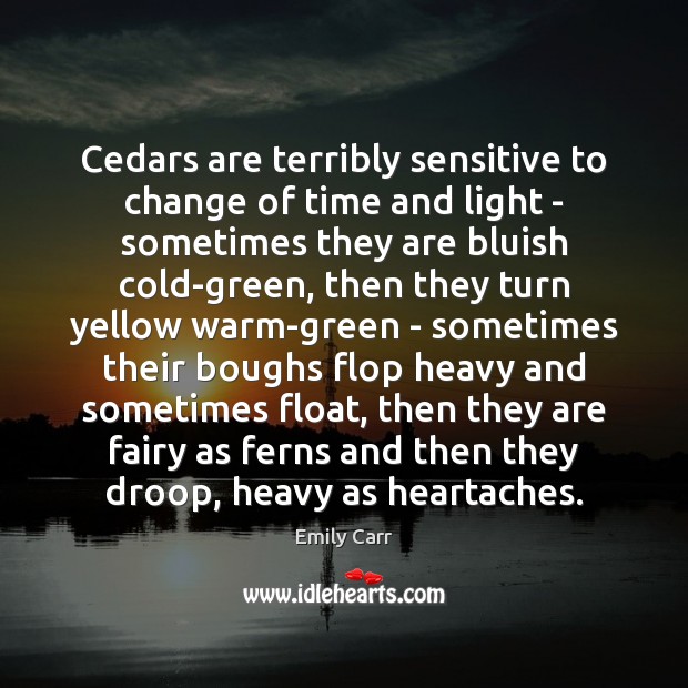 Cedars are terribly sensitive to change of time and light – sometimes Emily Carr Picture Quote
