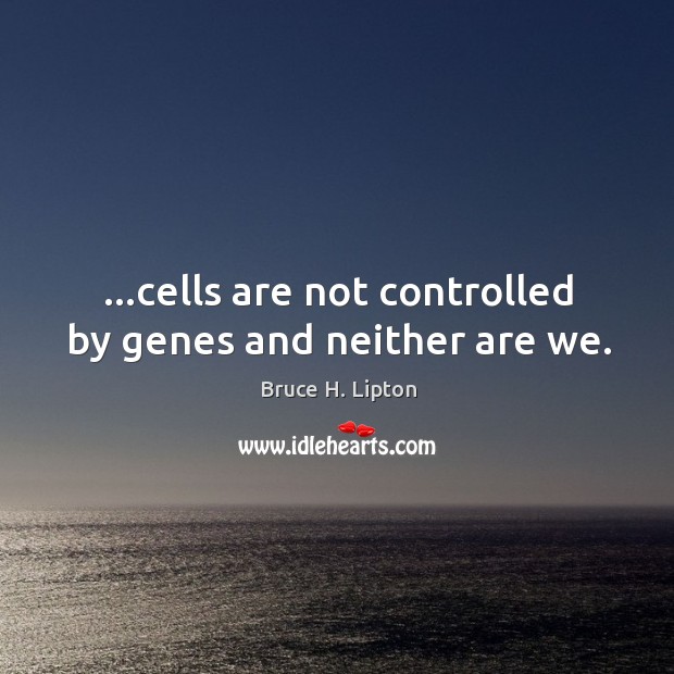 …cells are not controlled by genes and neither are we. Bruce H. Lipton Picture Quote