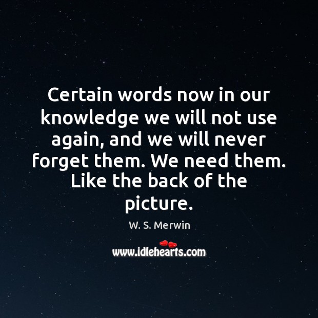 Certain words now in our knowledge we will not use again, and W. S. Merwin Picture Quote