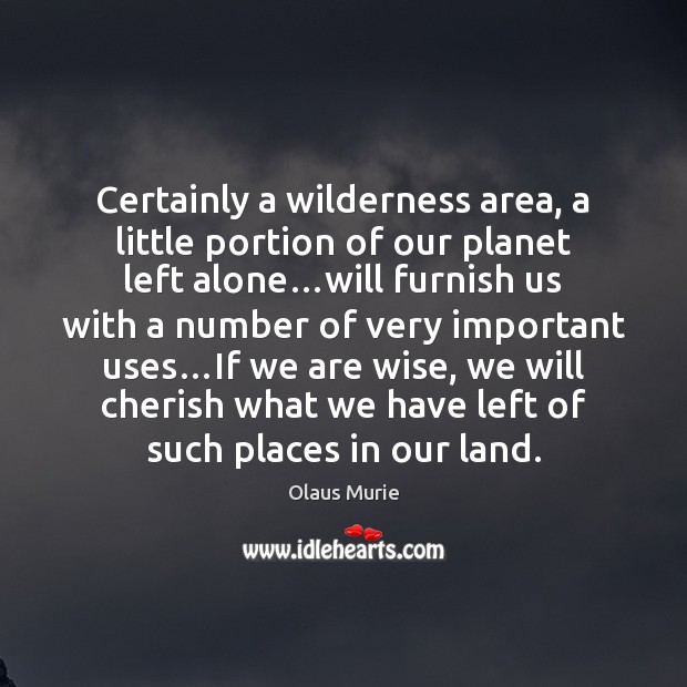 Certainly a wilderness area, a little portion of our planet left alone… Image