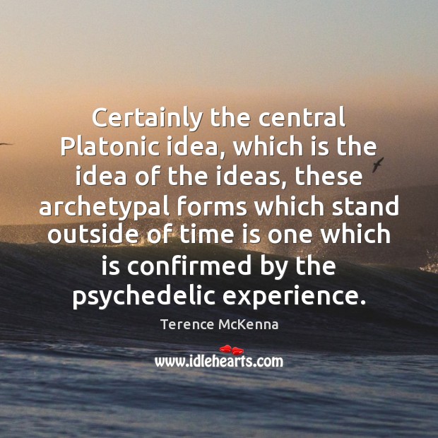 Certainly the central Platonic idea, which is the idea of the ideas, Terence McKenna Picture Quote