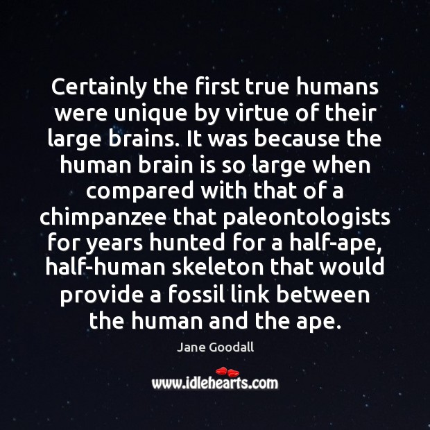 Certainly the first true humans were unique by virtue of their large Image