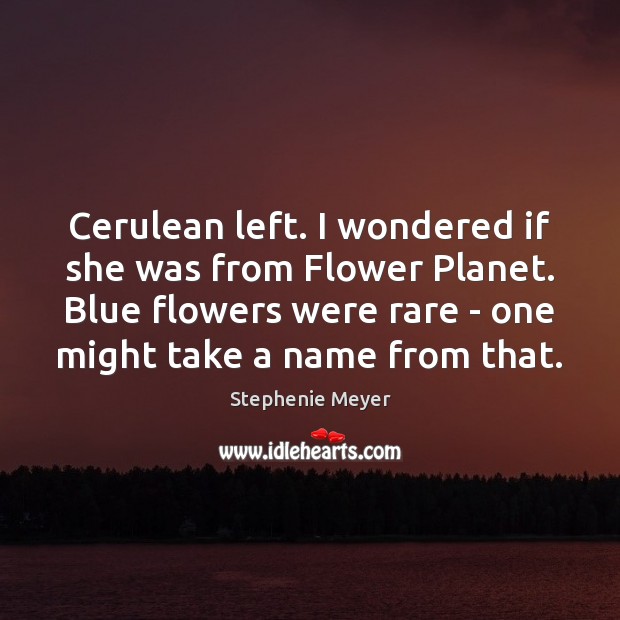 Cerulean left. I wondered if she was from Flower Planet. Blue flowers Stephenie Meyer Picture Quote