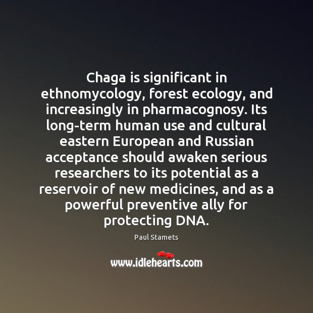 Chaga is significant in ethnomycology, forest ecology, and increasingly in pharmacognosy. Its Image