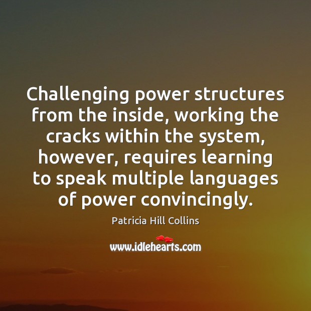 Challenging power structures from the inside, working the cracks within the system, Patricia Hill Collins Picture Quote