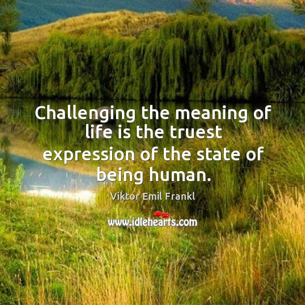 Challenging the meaning of life is the truest expression of the state of being human. Image