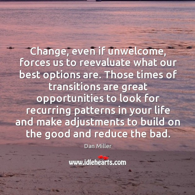 Change, even if unwelcome, forces us to reevaluate what our best options Dan Miller Picture Quote