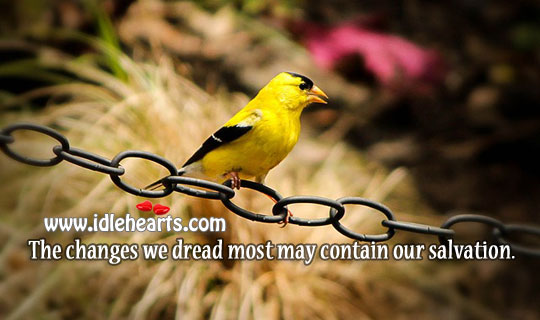 The changes we dread most may contain our salvation. Image