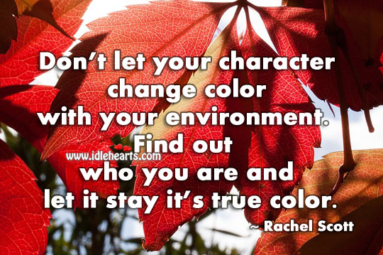 Don’t let your character change color with your environment. Environment Quotes Image