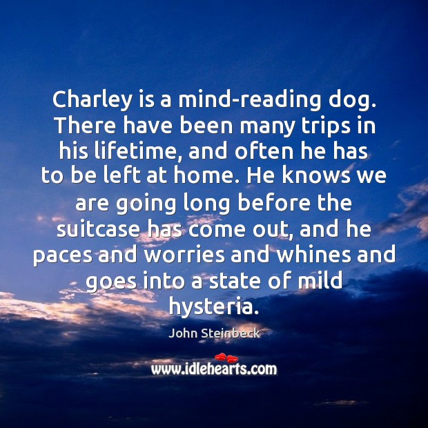 Charley is a mind-reading dog. There have been many trips in his Image