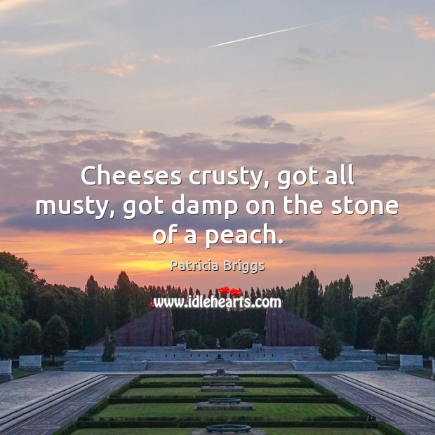 Cheeses crusty, got all musty, got damp on the stone of a peach. Image